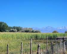 La Junta, Malargue, Mendoza - 714 Ha