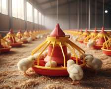 Comedero Abiflex Redondo para Pollos de Engorde (usado)