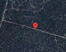 Sara Pampa DTO Pellegrini