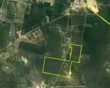 Campo Ganadería Santiago del Estero