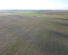 Venta 400 Has Cintra