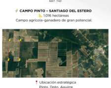 Campo Pinto - Santiago del Estero