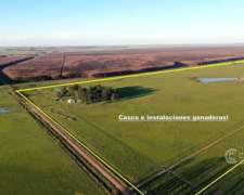 Se Vende Campo Foresto-ganadero de 885 Ha en Paraje Galarza.