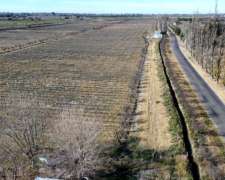 Finca De 25ha En Santa María De Oro Rivadavia