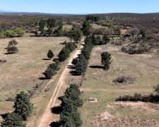 Campo Ganadero en Cura Brochero