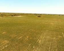 Vendo 95 Ha en Jesus Maria