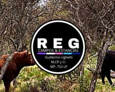 5.000 Has - Guasapampa, Cba.