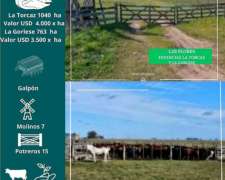 Estancia la Torcaz y la Gorlese 1803 Has