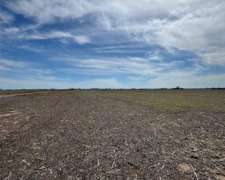 Campo Mixto 231 Hectáreas