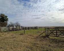 1000 HA, Ganadero, Dolores