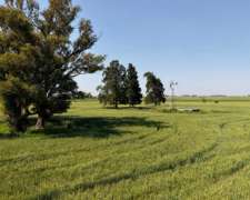 60 Hectáreas Agrícolas Sobre Ripio, Gualeguaychú.