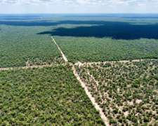 1250 Has en Venta - Pcia del Chaco, Taco Pozo