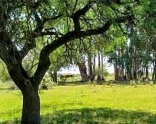 Chacra de 1,5 Ha Arboleda, Lugar Tranquilo. Colon E.rios