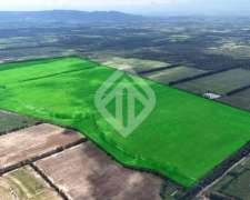 Campo Agricola en Venta 196 Has Pampa Blanca Jujuy