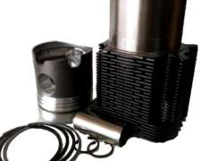 Conjunto Motor Deutz 913 Aspirado 3019874