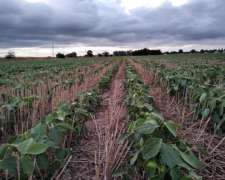 280 Ha Agricolas en Selva Sobre Ruta. Suelo 2.