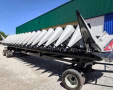 Maicero Nuevo 18 a 52: Maizco Premium