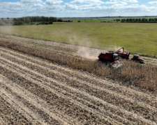 Lobos, Buenos Aires - 322,5 Ha