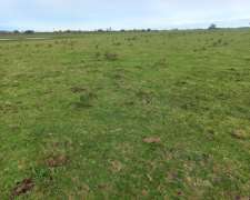 48 Hectareas Campo Agricola