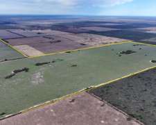 Córdoba la Puerta 500 Has Mixtas Agricolas