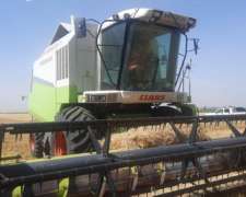 Claas Medion 310, 23pies