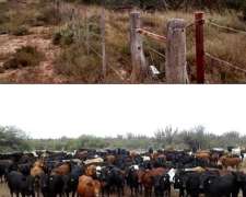 Oferta VDO Campo Norte de Cordoba 9700has