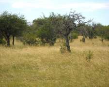 Entre Rios, la PAZ Alquilo 1750 Has Ganaderas