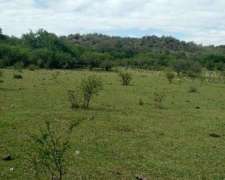 Vendo Campo en Amboy