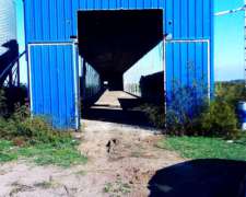 Vendo Galpon 6mx82m Ponedoras P/jaulas Verticales u Otro USO