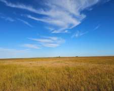 Campo Venta Ruta Mixto 70 Ha Saladillo