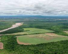 Pcia. de Salta - Pichanal 527 Has