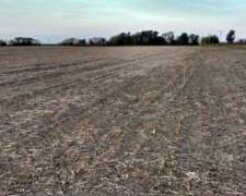 Venta 75 Has Agricolas Hernando