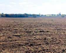 Venta. 26 Has Agricolas en Tres Bocas. Gualeguay