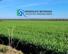 550 Ha. Agrícolas En Entre Ríos