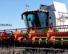 Claas Tucano 570. Año 2021, 4x4. Plataforma Maxflex De 35 P