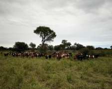Campo en Venta en Santiago del Estero