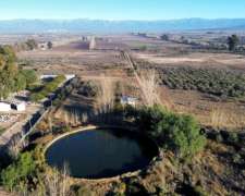 Finca En Venta 18ha, Pozo Y Tanque Australiano– Lavalle