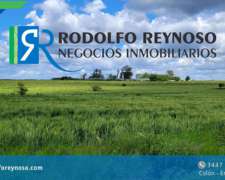 15 HA. en Colón. Entre Ríos