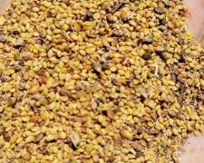 Vendo Semilla de Melilotus Contacto 3482619839