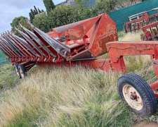 Maicero Mainero 11 a 52