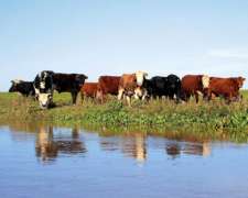 Venta Isla. 3800 HA. Colonia Mascias, Santa FE