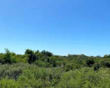 Federal, Chañar Entre Rios, Venta Campo Ganadero