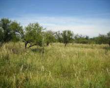 Entre Rios, Sauce de Luna Alquilo o Vendo 796 Has y 560 Has