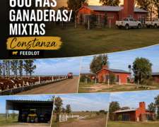 600 Has Mixtas/ganaderas Desarrolladas.