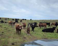 440 Ha Argerich, Sobre Ruta