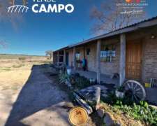 Se Vende Campo Ganadero de 415 en General Acha, la Pampa
