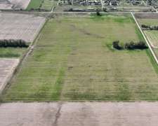 Mariano Benitez, Pergamino, Buenos Aires - 46 Ha