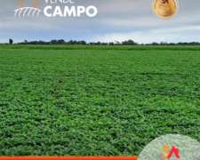 Vende: Campo de 180 Hectáreas. Ubicadas en Bernardo Larroudé
