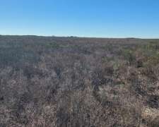 Alquiler Campo 1.062 Has P/siembra Guardia Escolta SGO del e