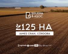 Campo 125 Hectáreas - James Craik